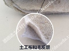 公司新品營(yíng)養(yǎng)土工布